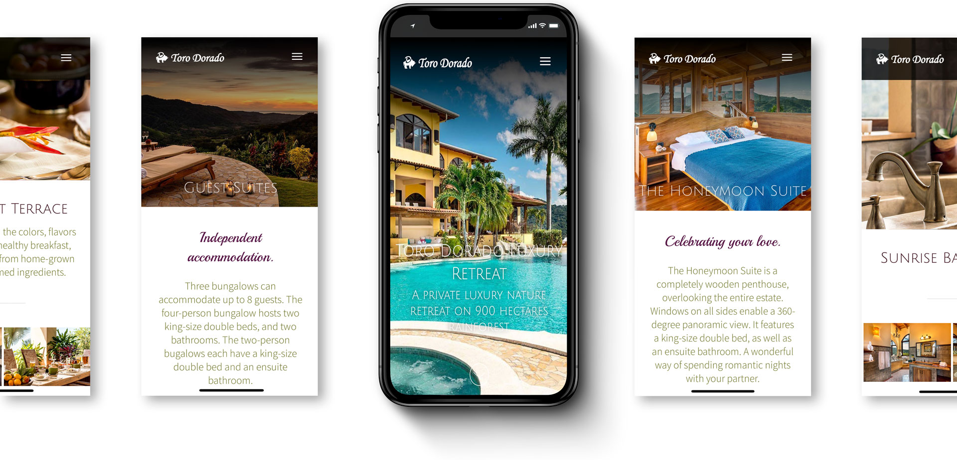 Toro dorado luxury property web design for mobile devices